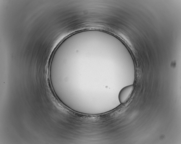 X0000091080891200708131253