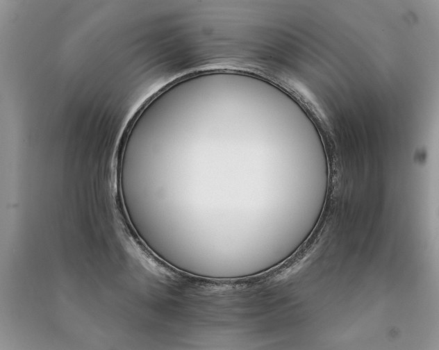 X0000091080892200708131253