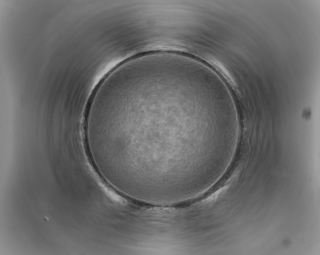 X0000091080893200708131253