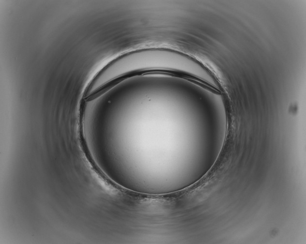 X0000091080894200708131253