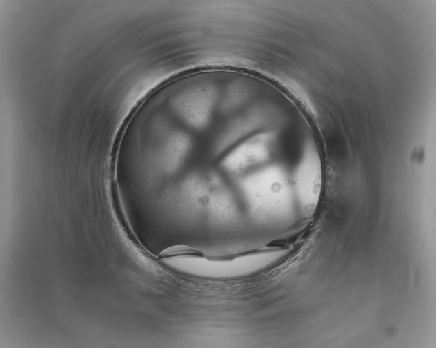 X0000091080895200708131253