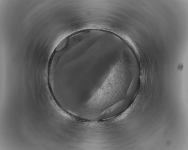 X0000091080896200708131253