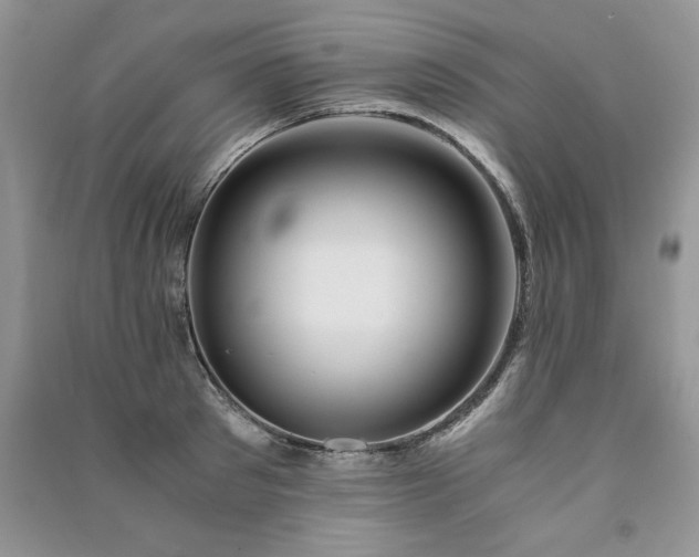 X0000091080897200708131253