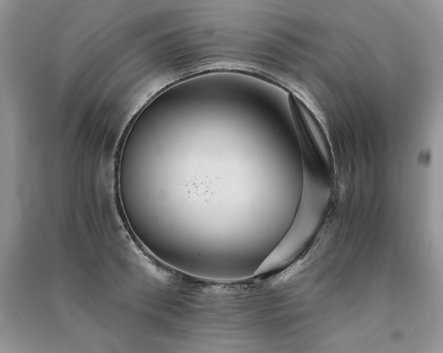 X0000091080898200708131253