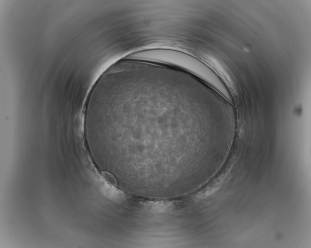 X0000091080900200708131253