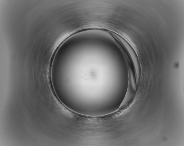 X0000091080901200708131253