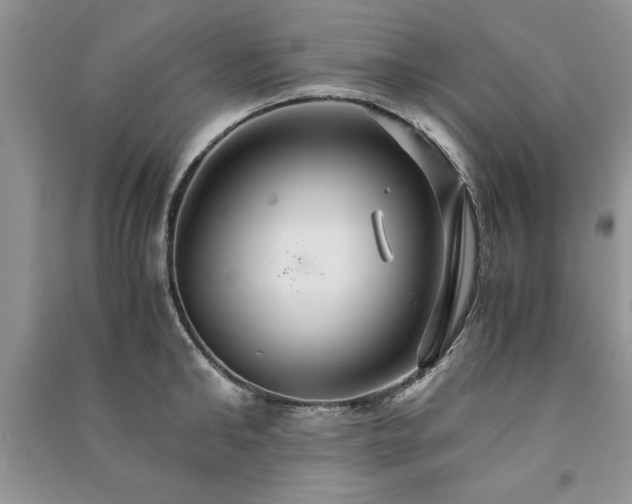 X0000091080902200708131253