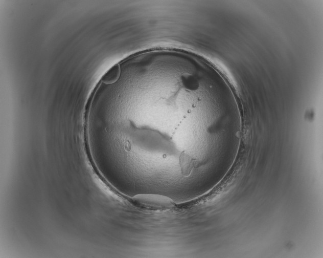 X0000091080903200708131253