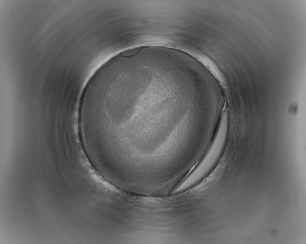 X0000091080904200708131253