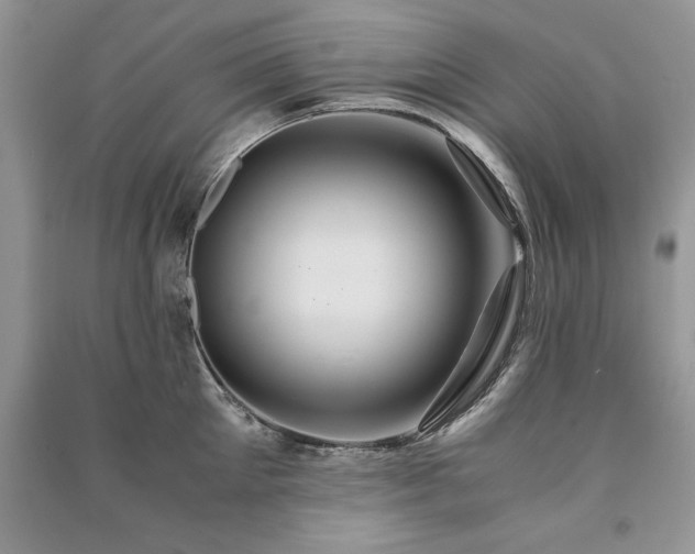 X0000091080905200708131253