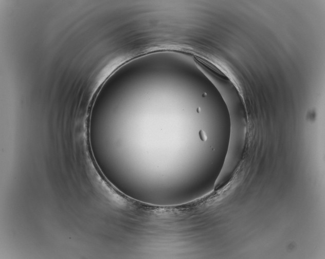 X0000091080906200708131253