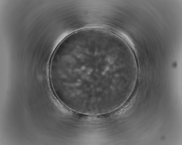 X0000091080907200708131253