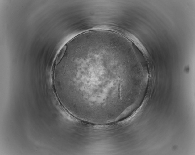 X0000091080908200708131253