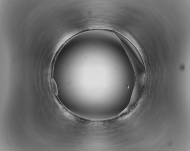 X0000091080909200708131253