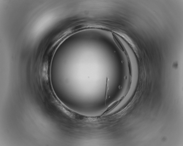 X0000091080910200708131253