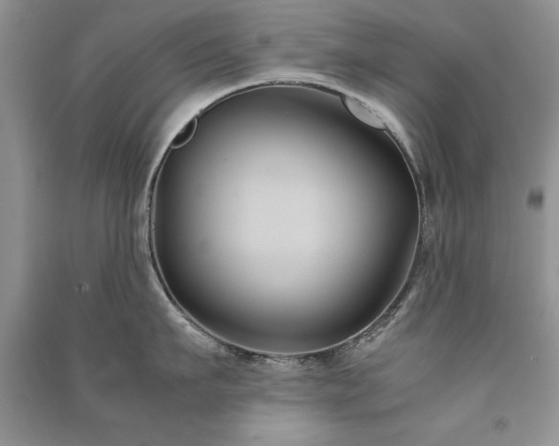 X0000091080911200708131253