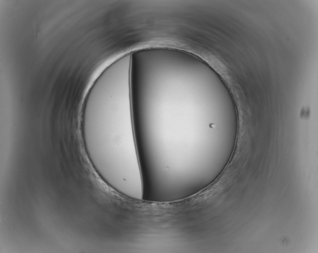 X0000091080912200708131253