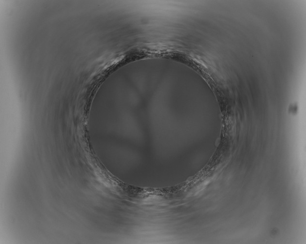 X0000091080913200708131252