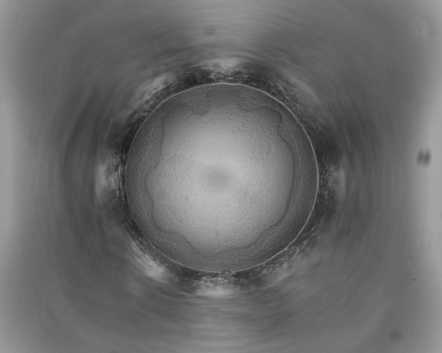 X0000091080914200708131252