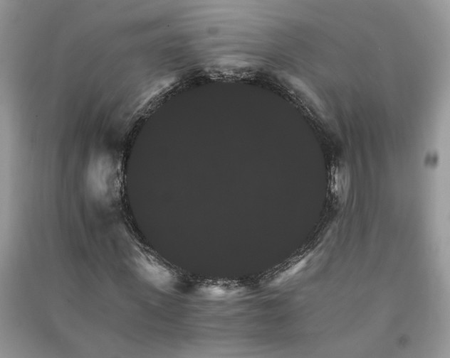 X0000091080915200708131252