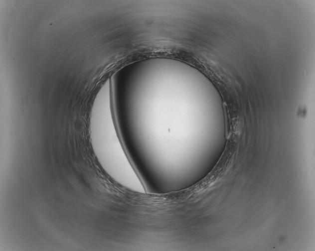 X0000091080916200708131252