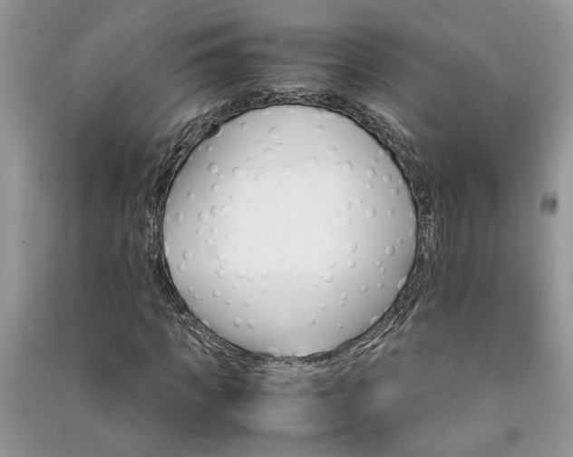 X0000091080917200708131252