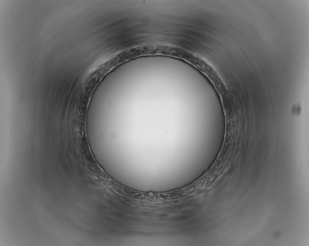 X0000091080919200708131252