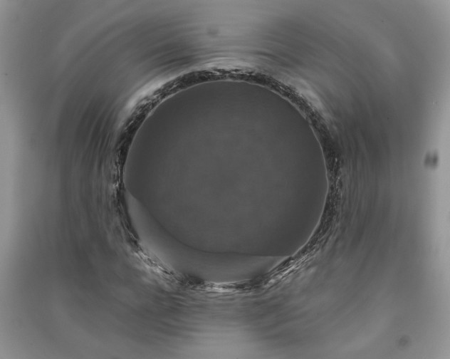 X0000091080920200708131252