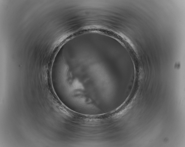 X0000091080921200708131252