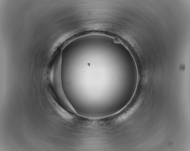 X0000091080922200708131252