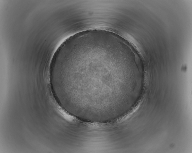 X0000091080924200708131252