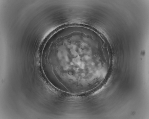 X0000091080925200708131252