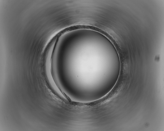 X0000091080926200708131252