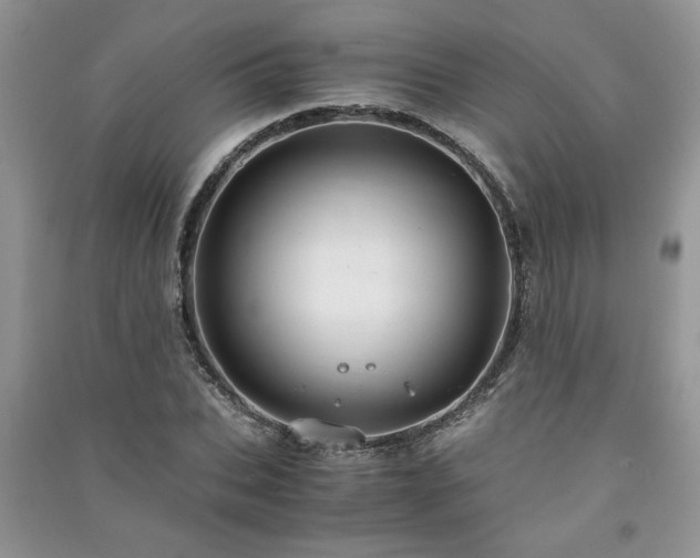 X0000091080927200708131252