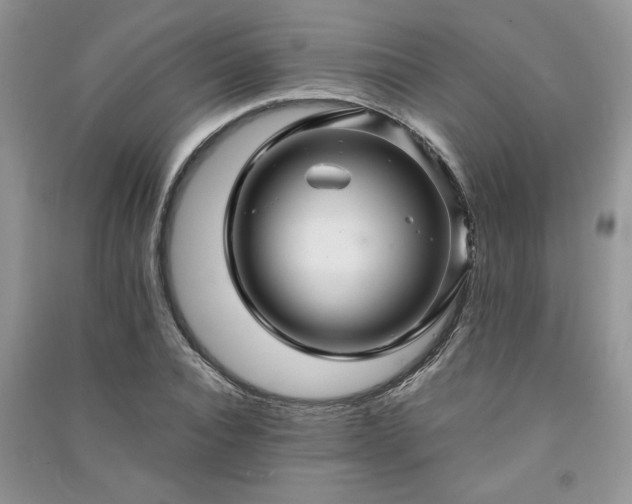 X0000091080928200708131252