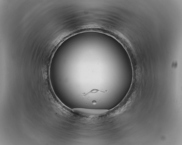 X0000091080929200708131252