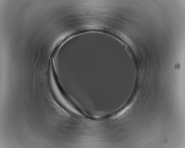 X0000091080930200708131252