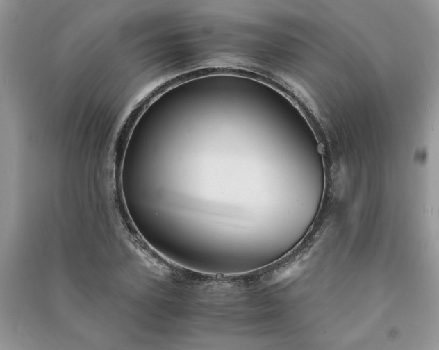 X0000091080931200708131252