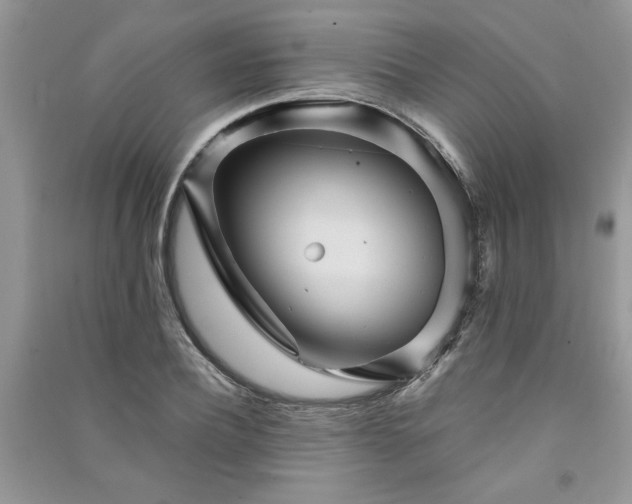 X0000091080932200708131252