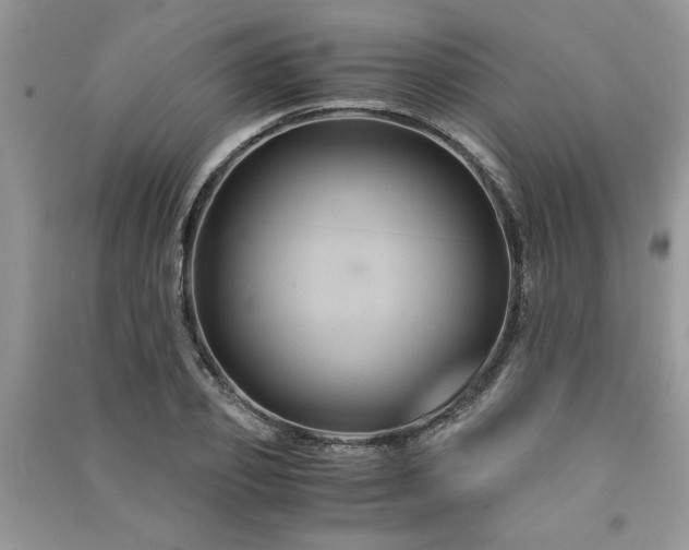 X0000091080933200708131252