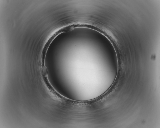 X0000091080934200708131252