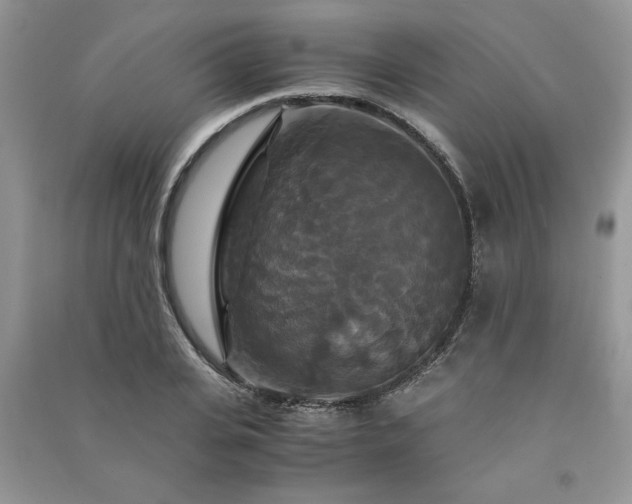 X0000091080935200708131252