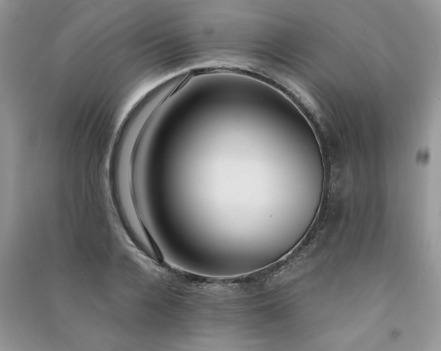 X0000091080936200708131252