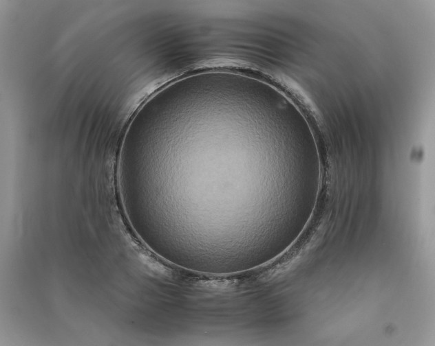 X0000091080937200708131252