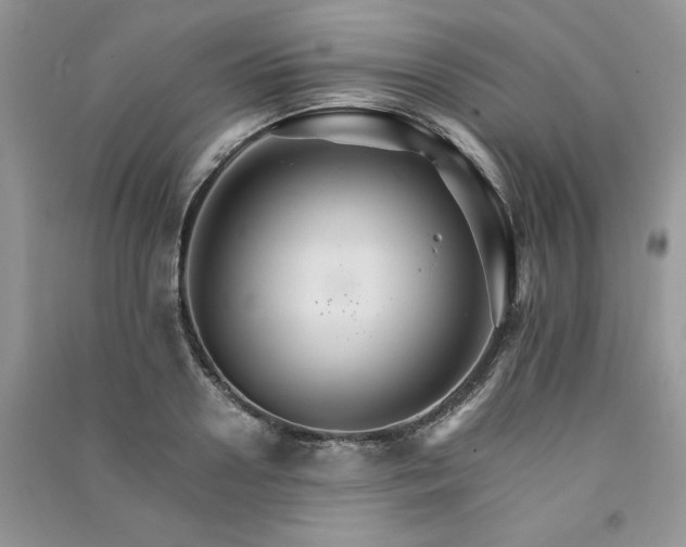 X0000091080938200708131253