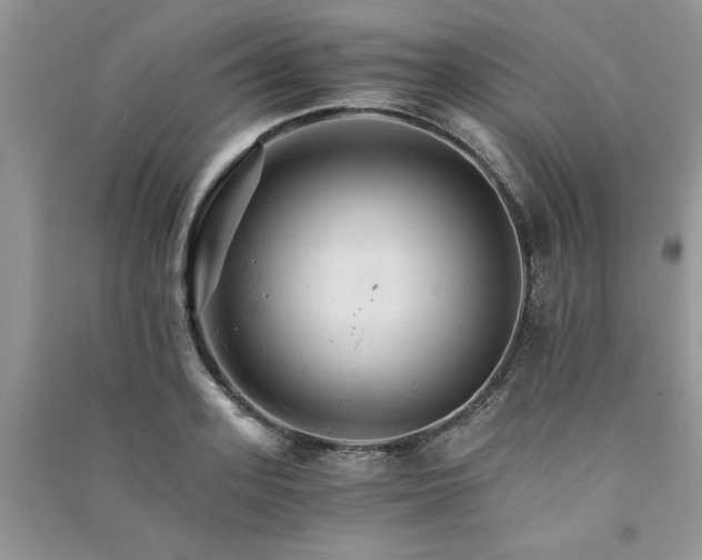 X0000091080939200708131253