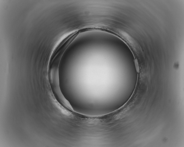 X0000091080940200708131253