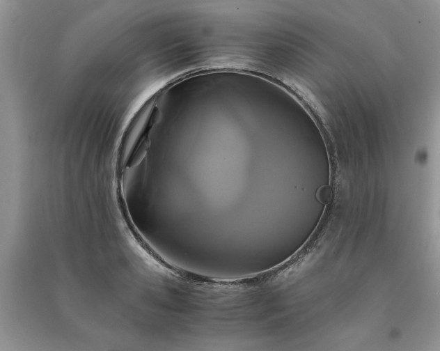 X0000091080941200708131253