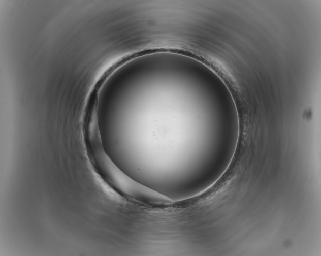 X0000091080942200708131253