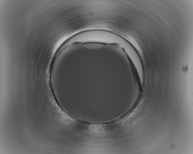 X0000091080944200708131253